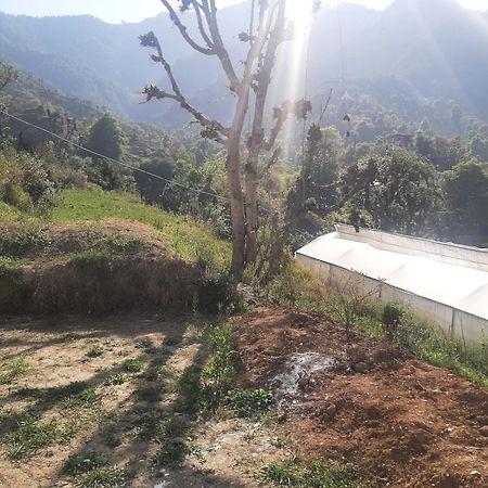 Parvatiya Homestay Mussoorie Zewnętrze zdjęcie
