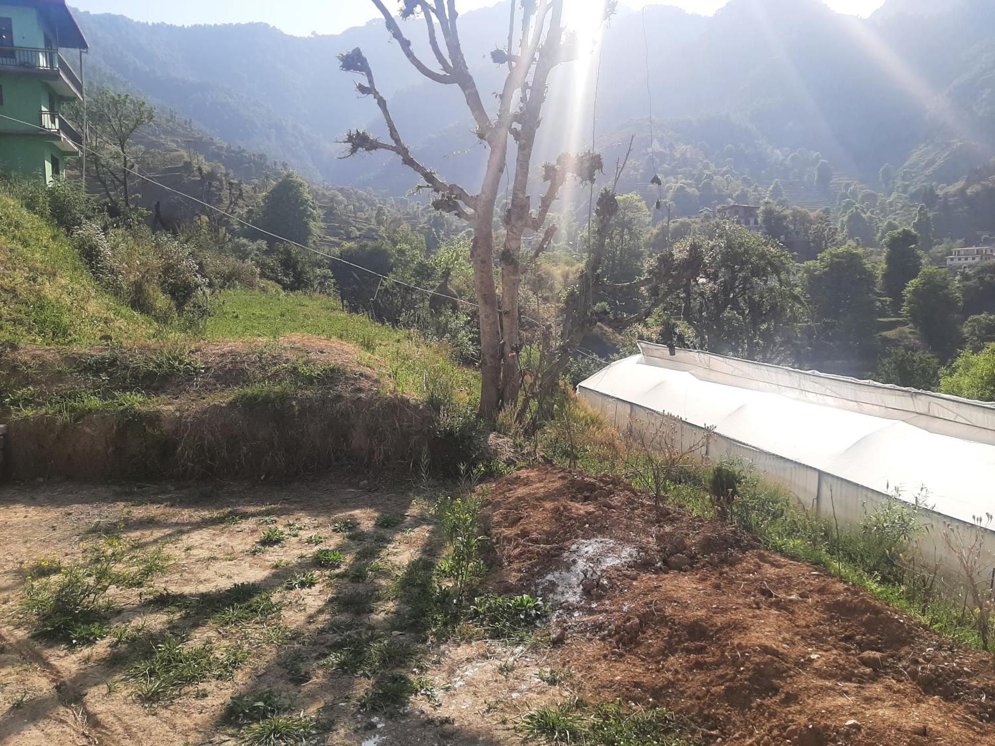 Parvatiya Homestay Mussoorie Zewnętrze zdjęcie